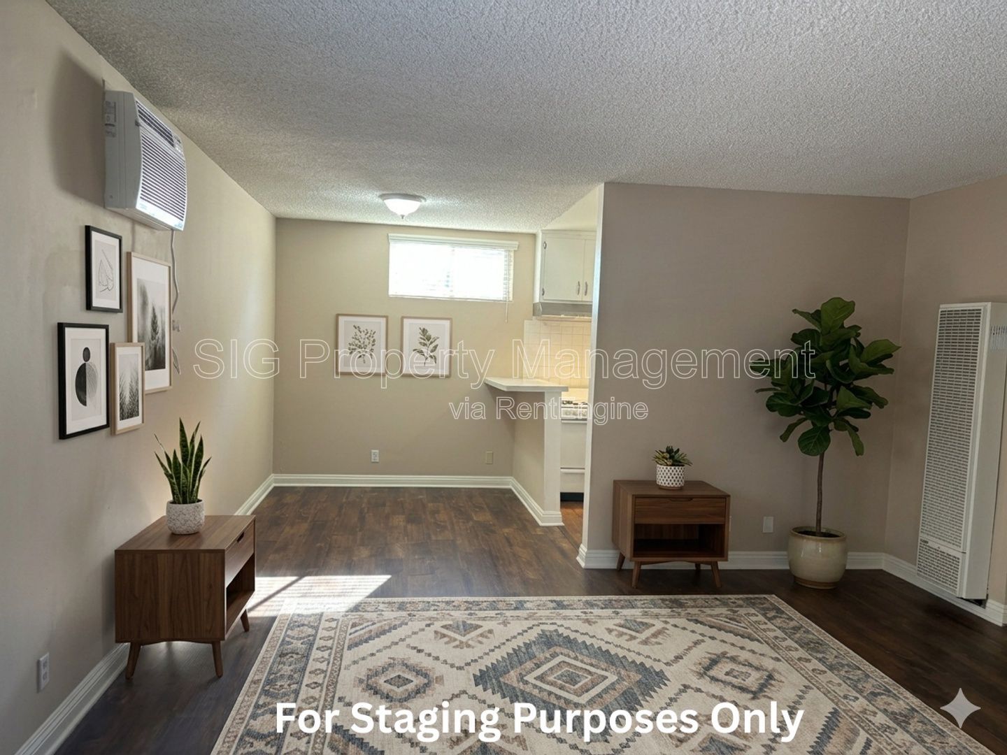 Gallery Image 0