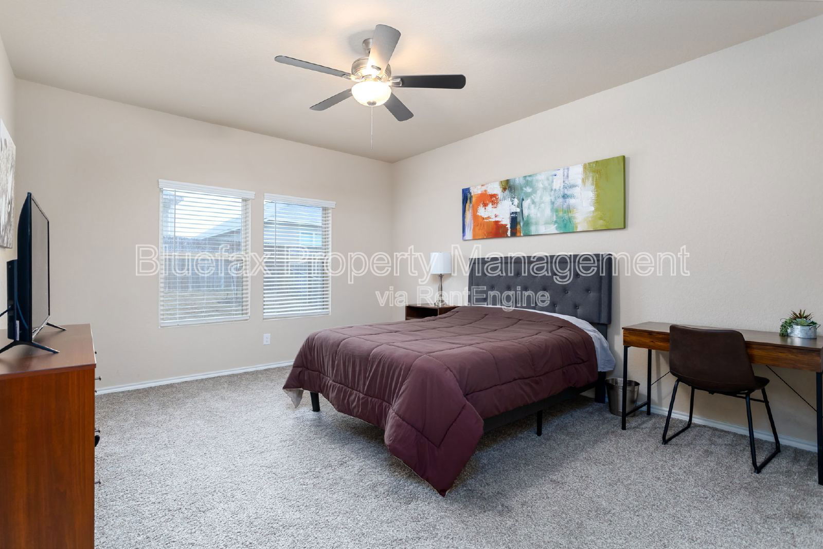Gallery Image 11