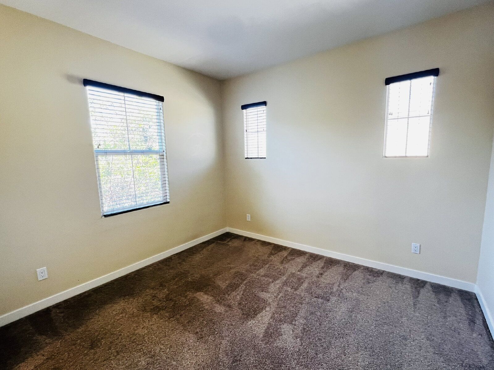 Gallery Image 36
