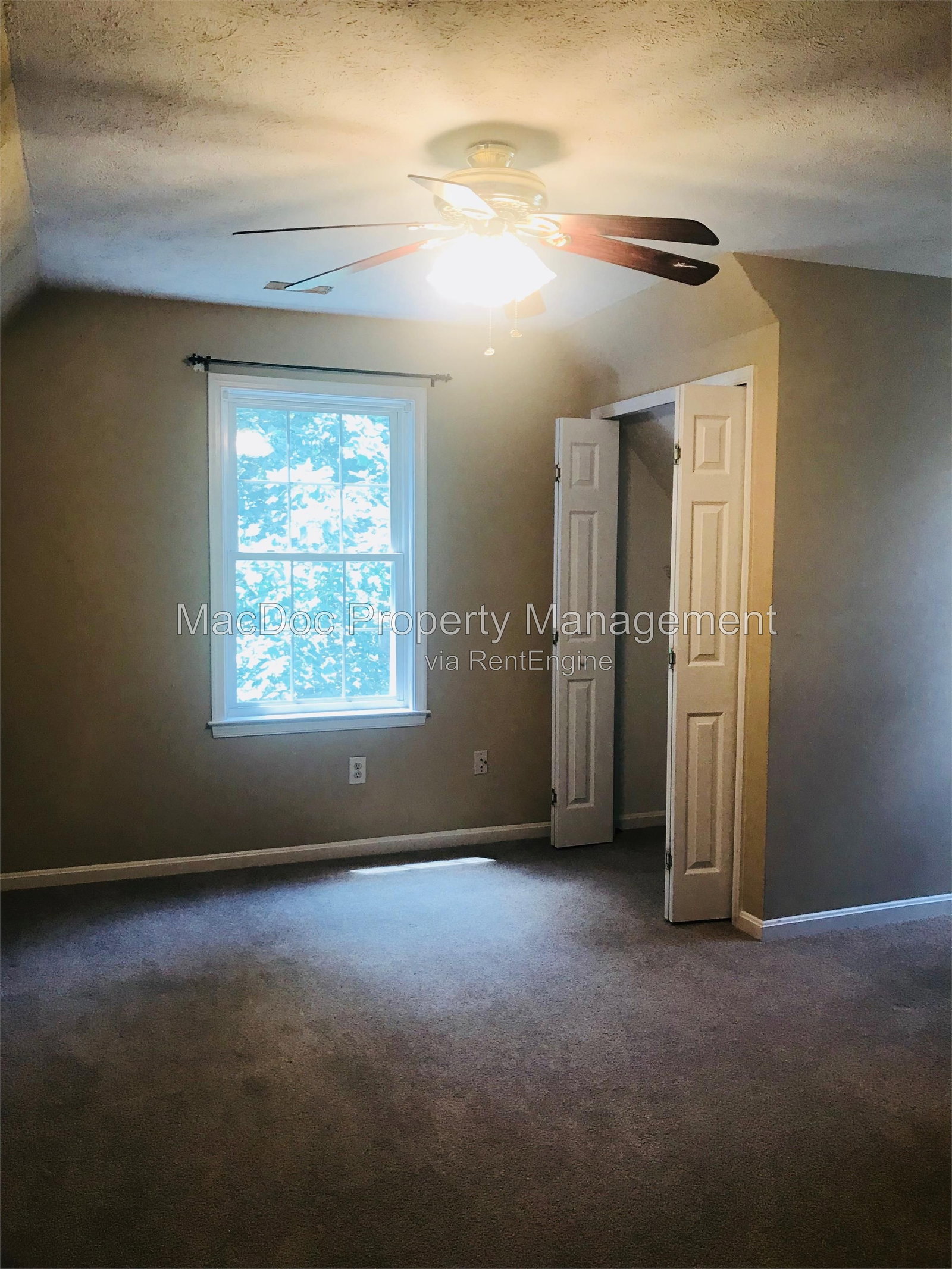 Gallery Image 31