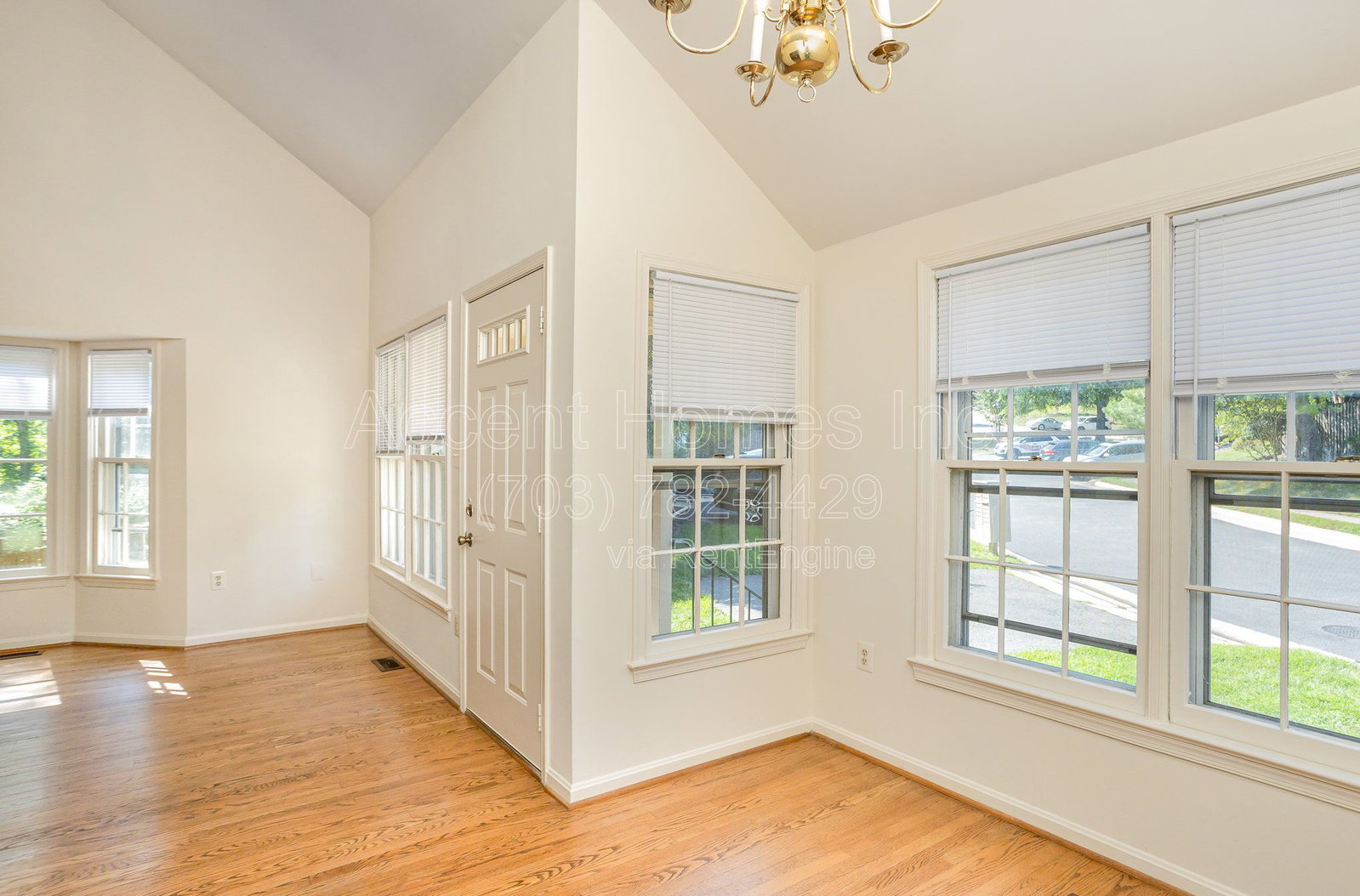 Gallery Image 13