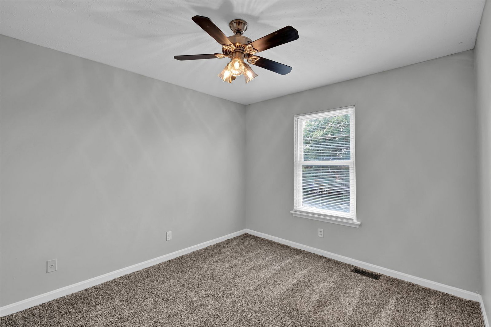 Gallery Image 19