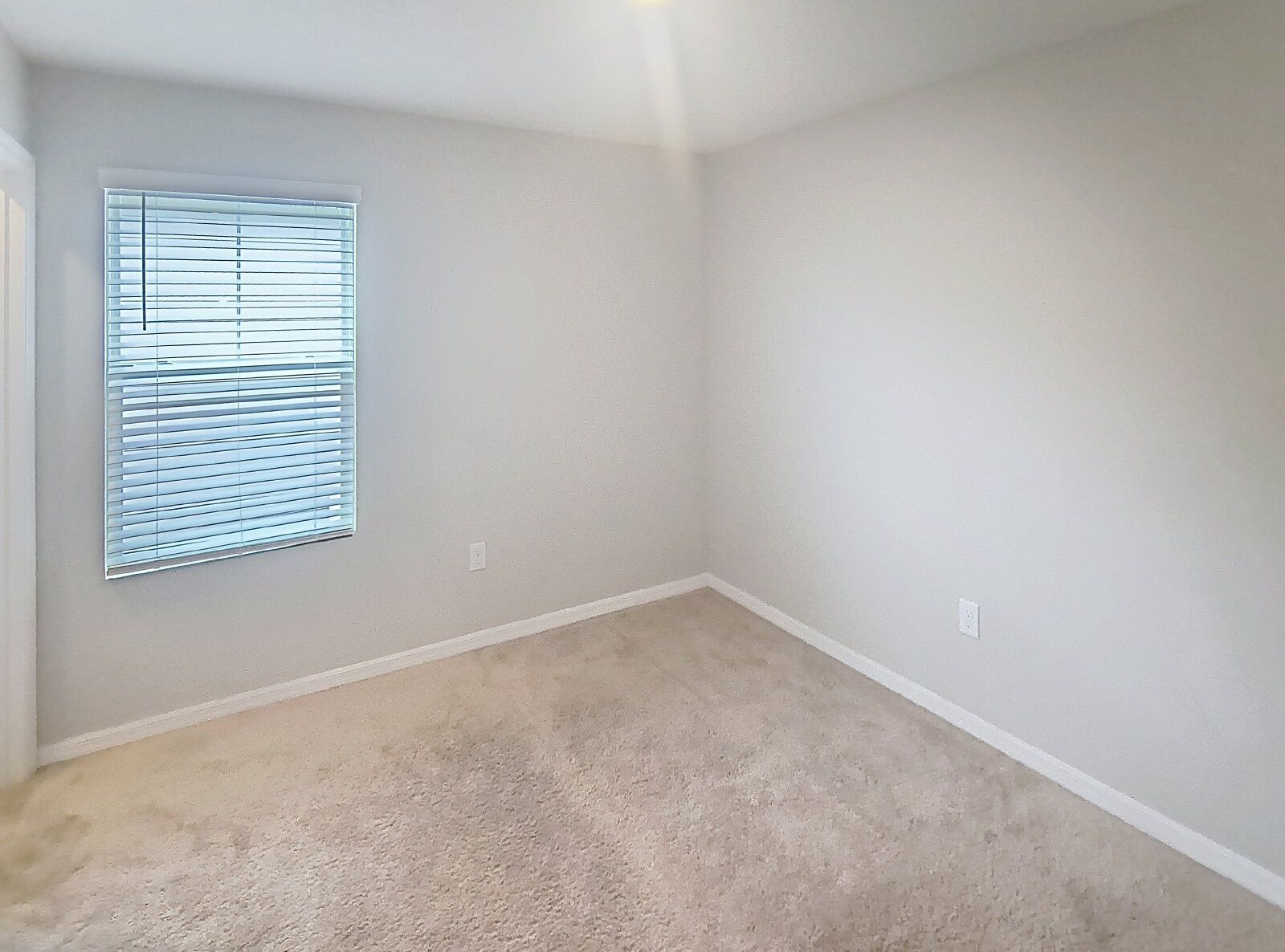 Gallery Image 41