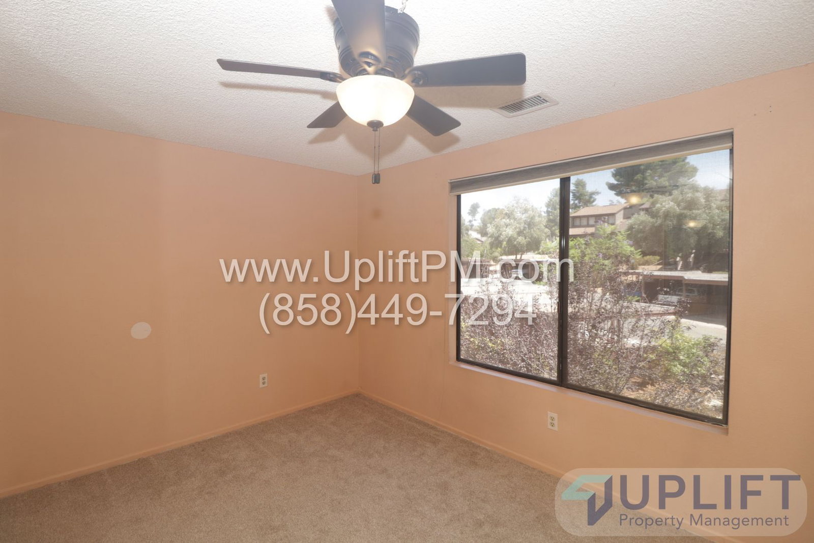 Gallery Image 30