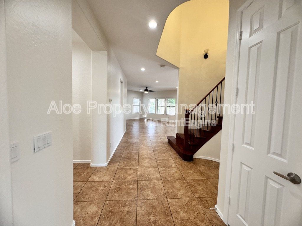 Gallery Image 62