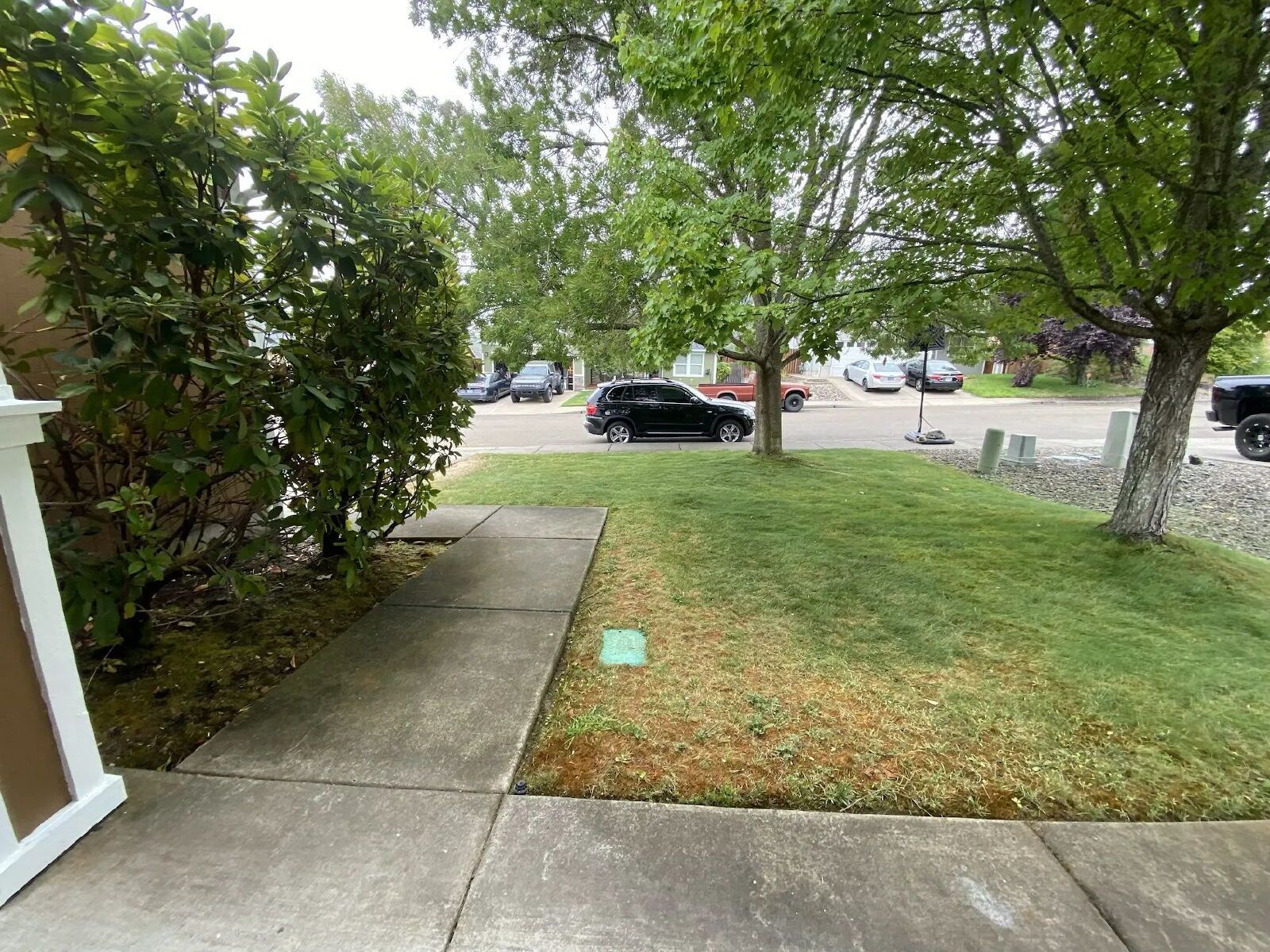 Gallery Image 38