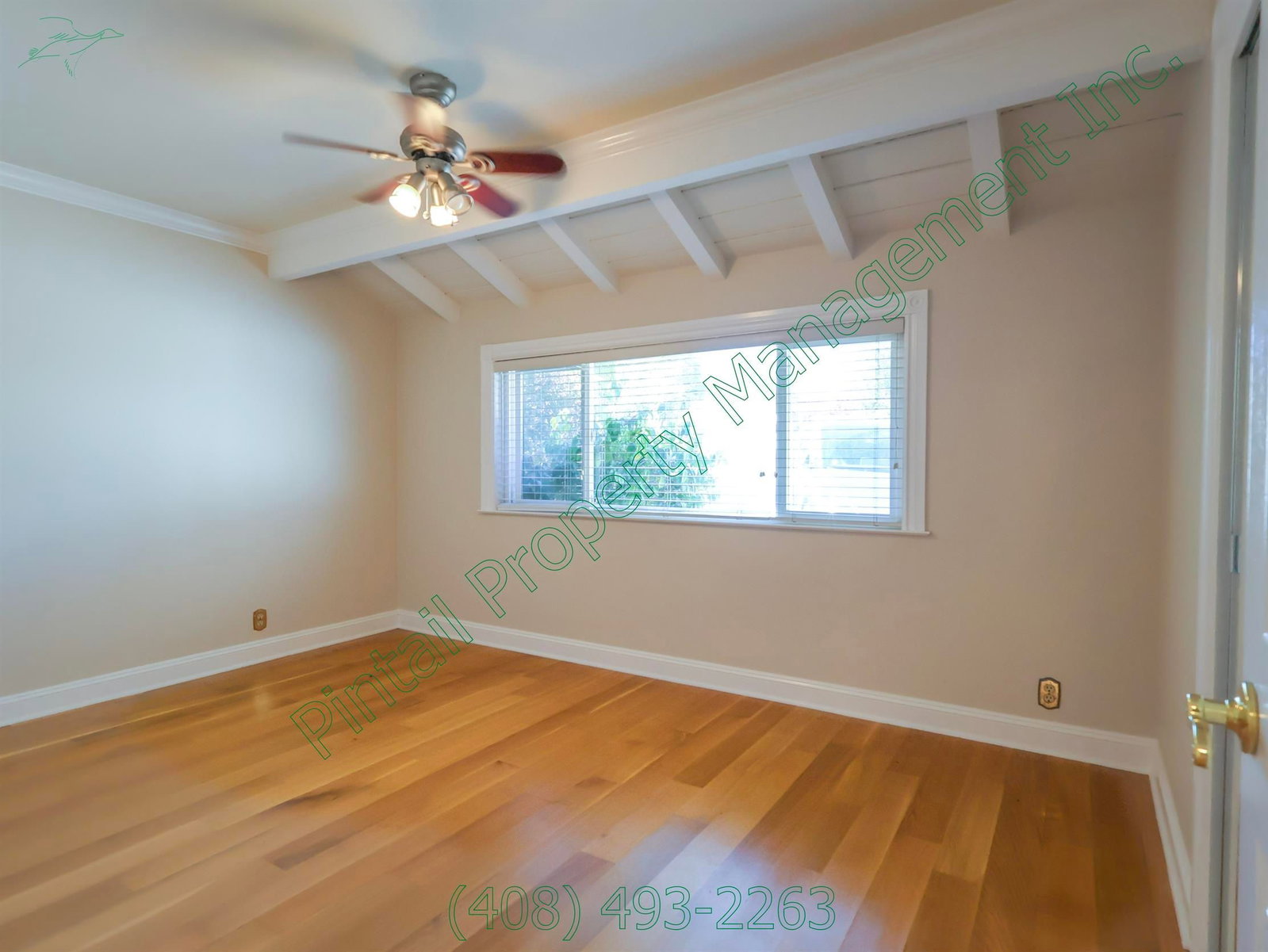 Gallery Image 16