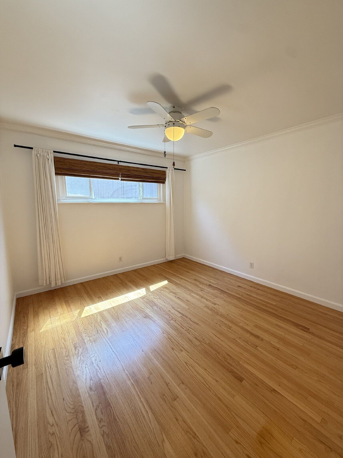 Gallery Image 19