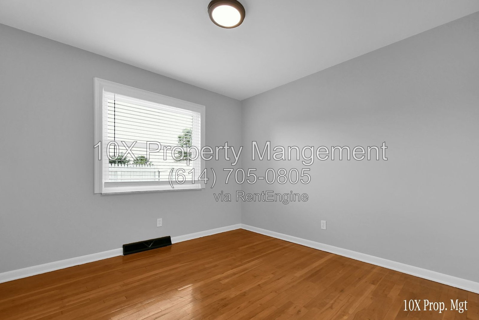 Gallery Image 19