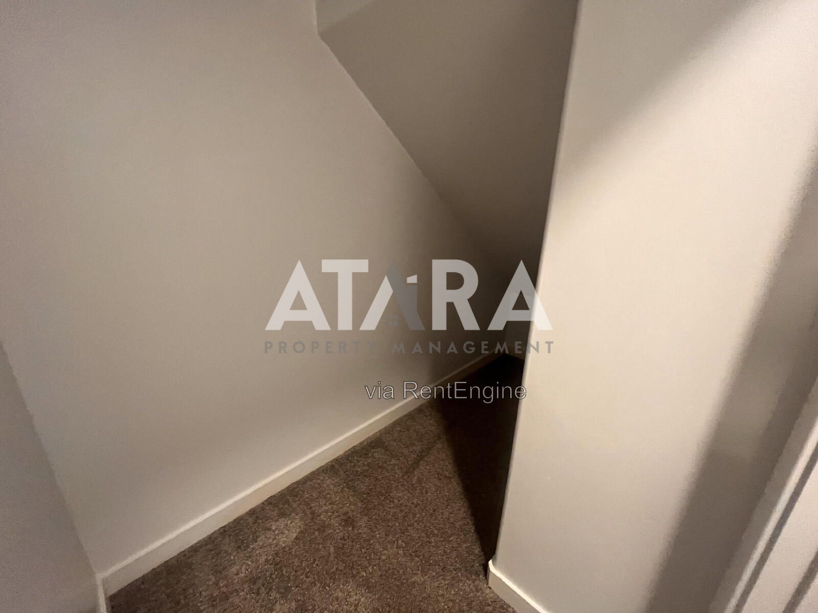 Gallery Image 23