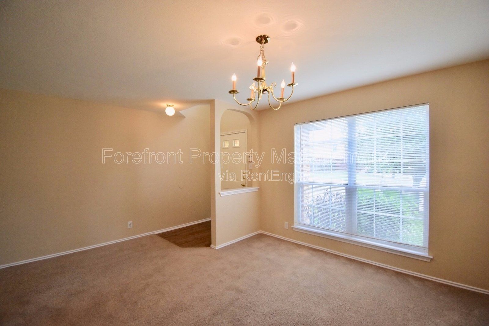 Gallery Image 31
