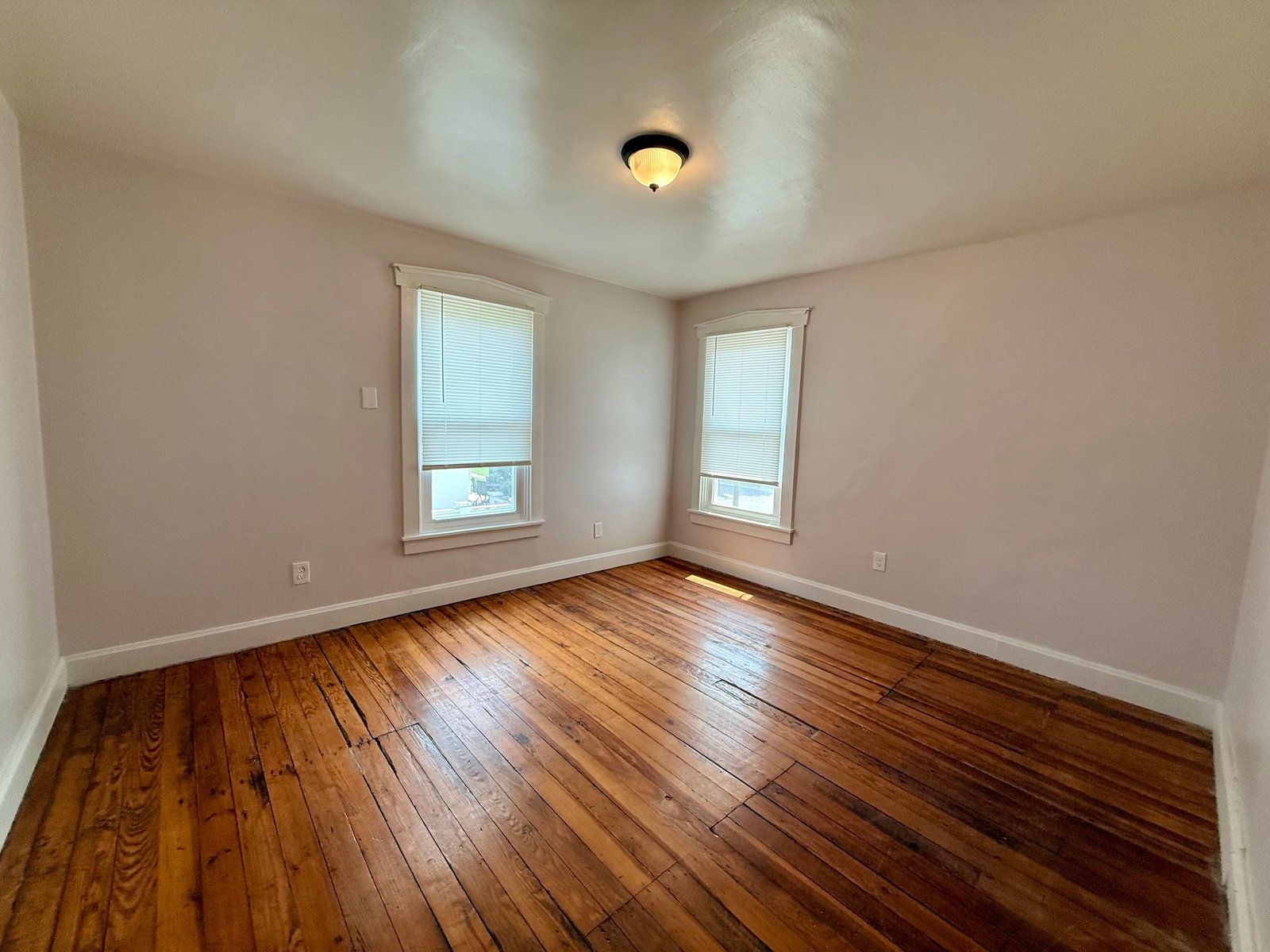 Gallery Image 15