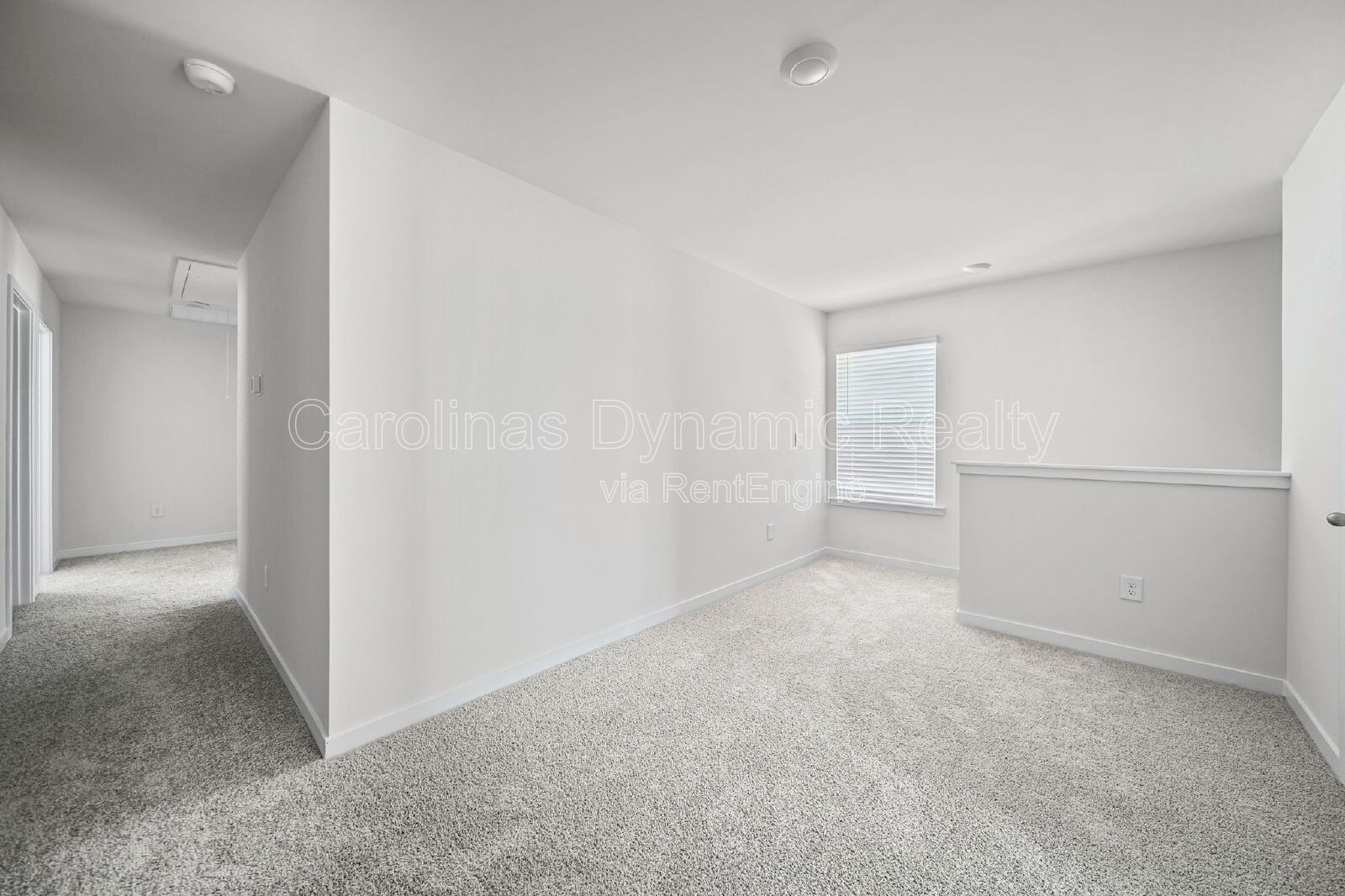 Gallery Image 20