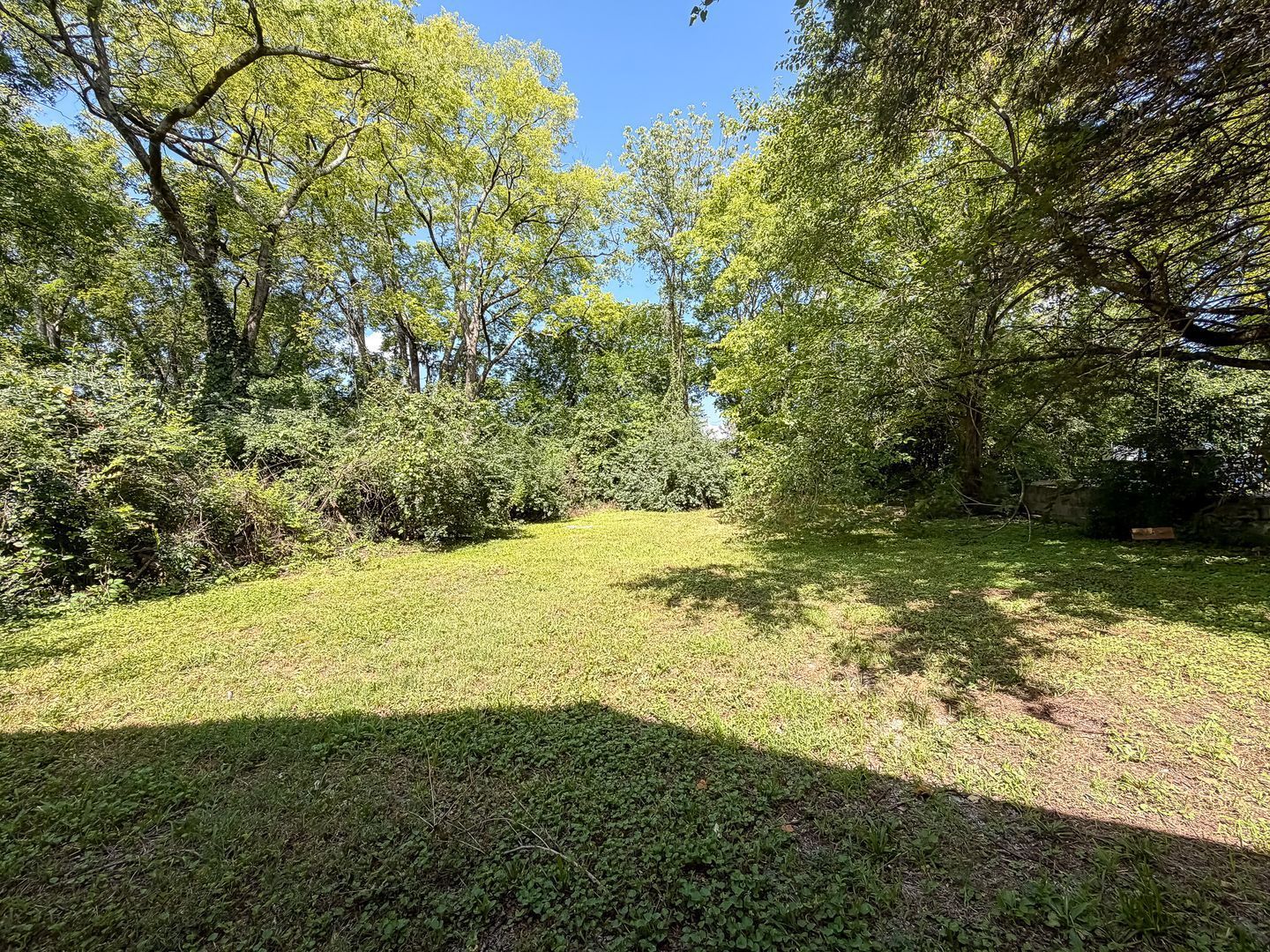 Gallery Image 19
