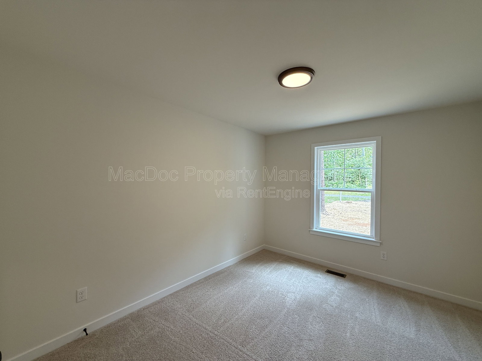 Gallery Image 22