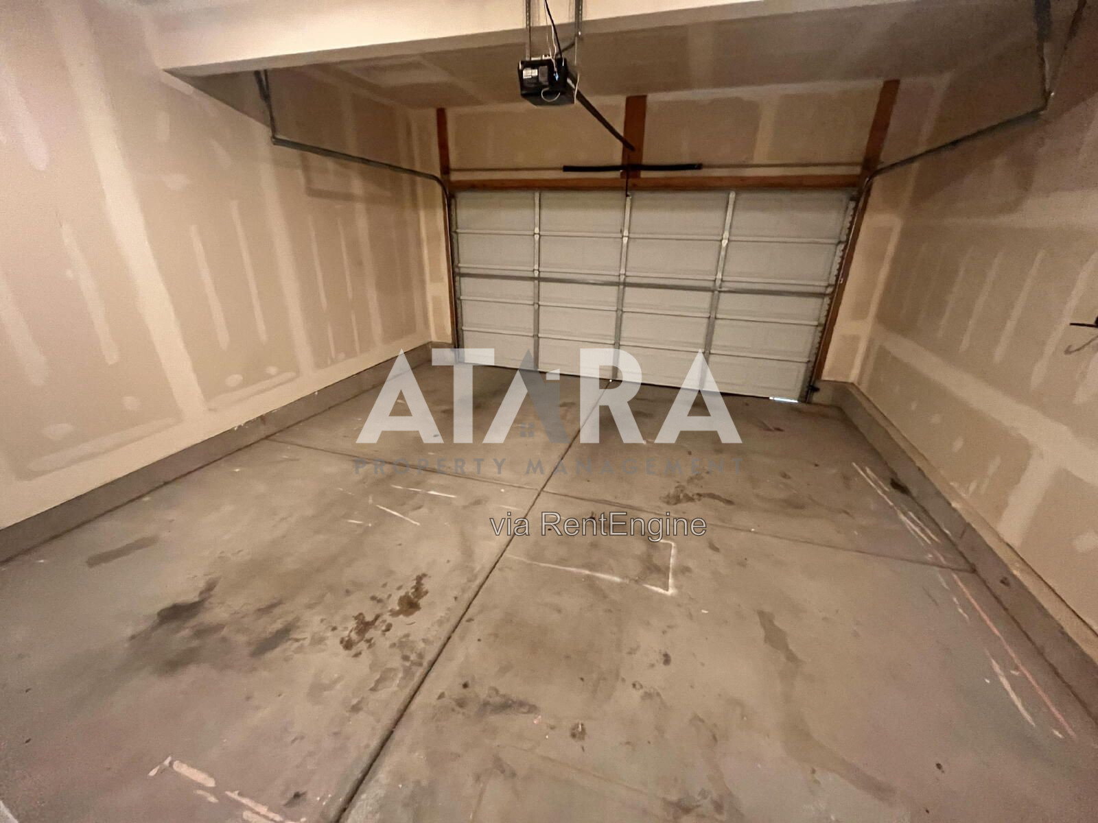 Gallery Image 41