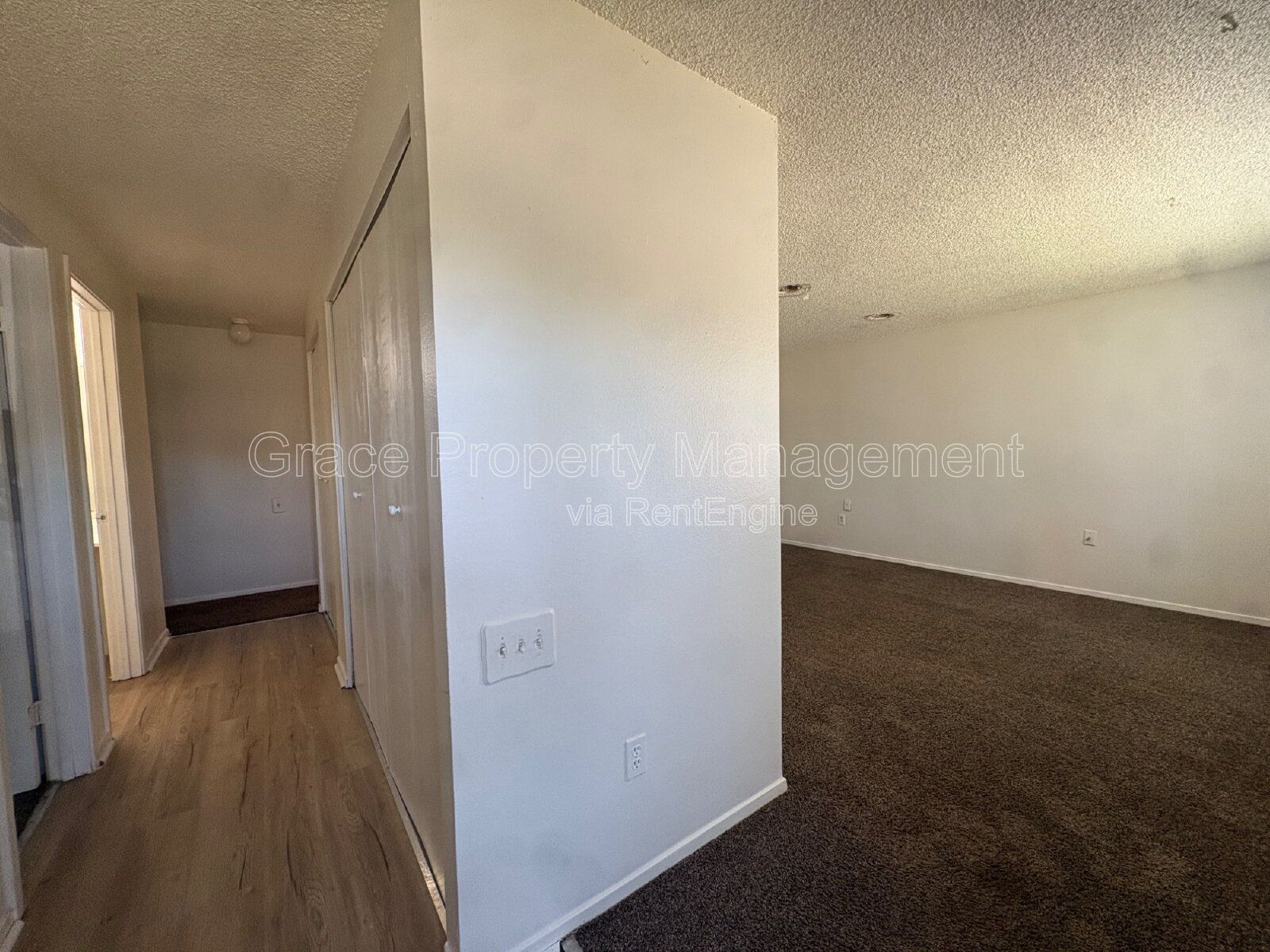 Gallery Image 17