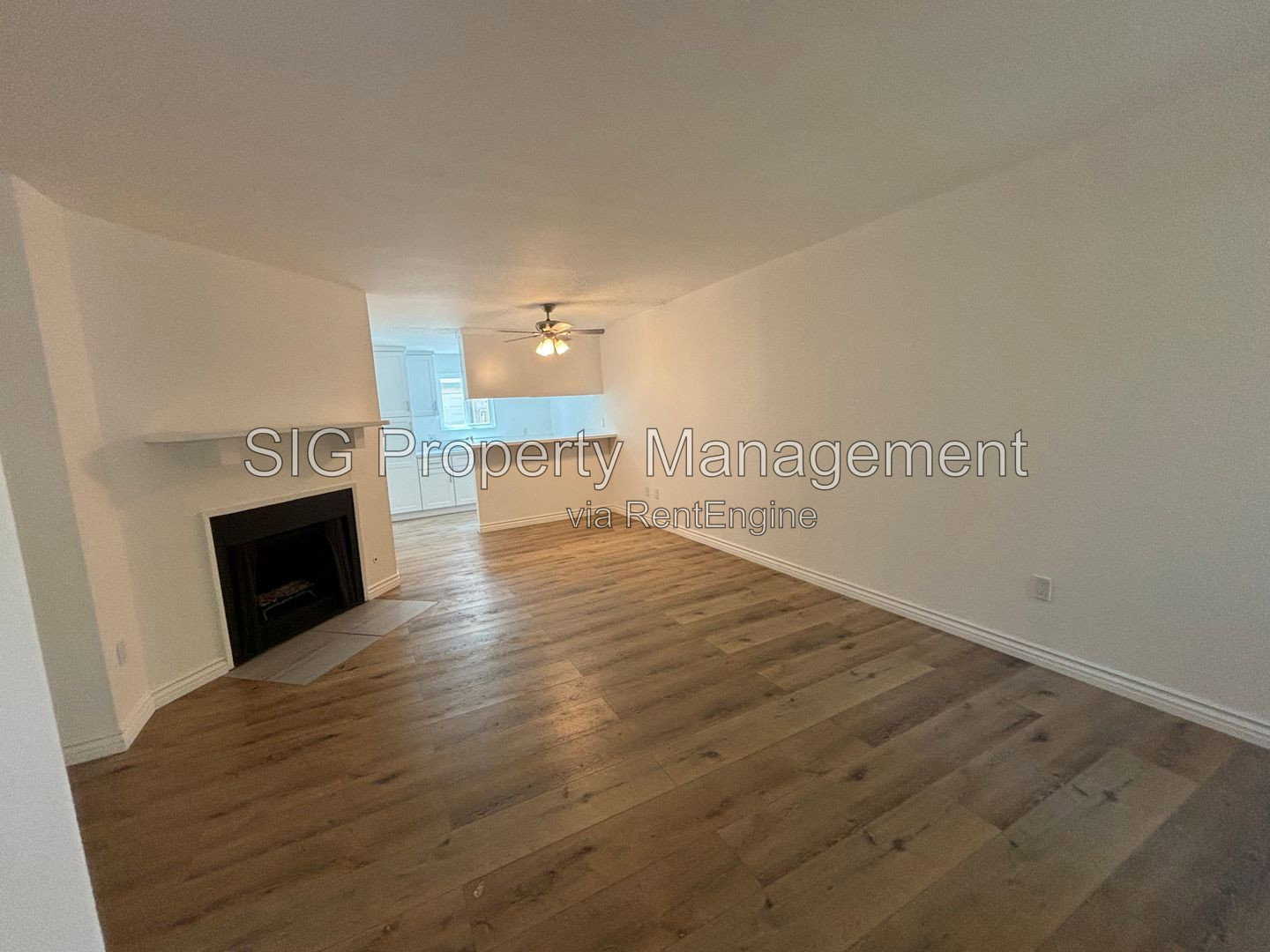 Gallery Image 0