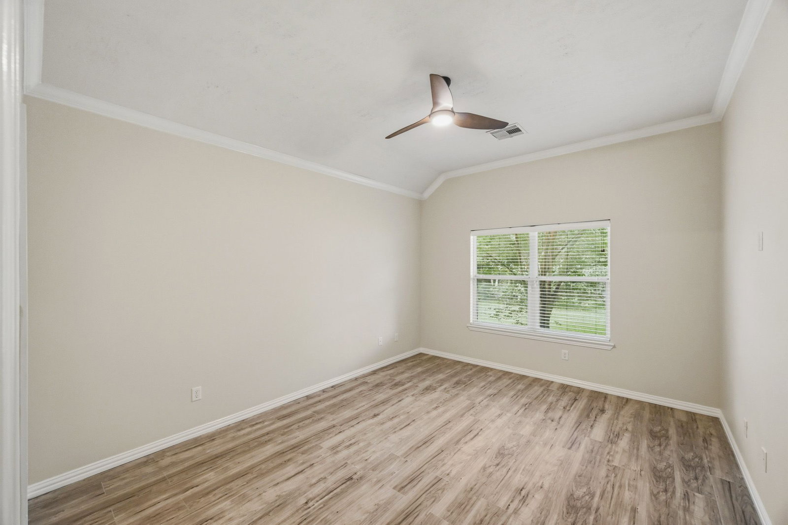 Gallery Image 19