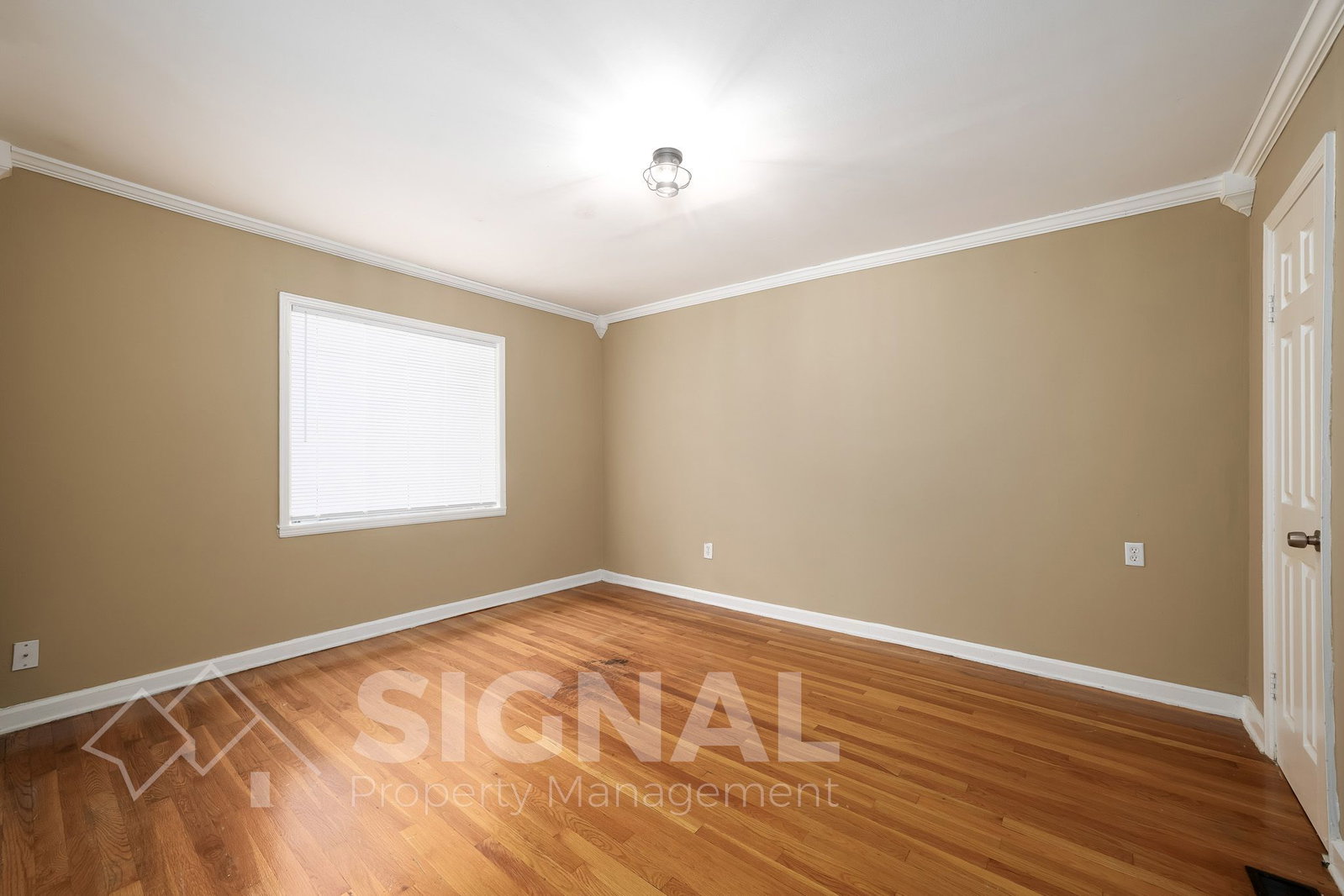Gallery Image 18