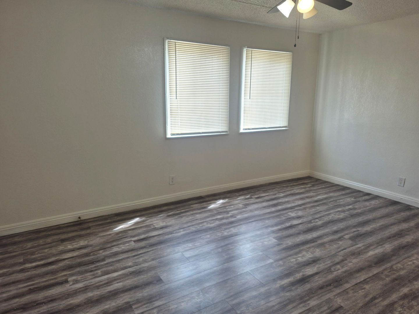 Gallery Image 0