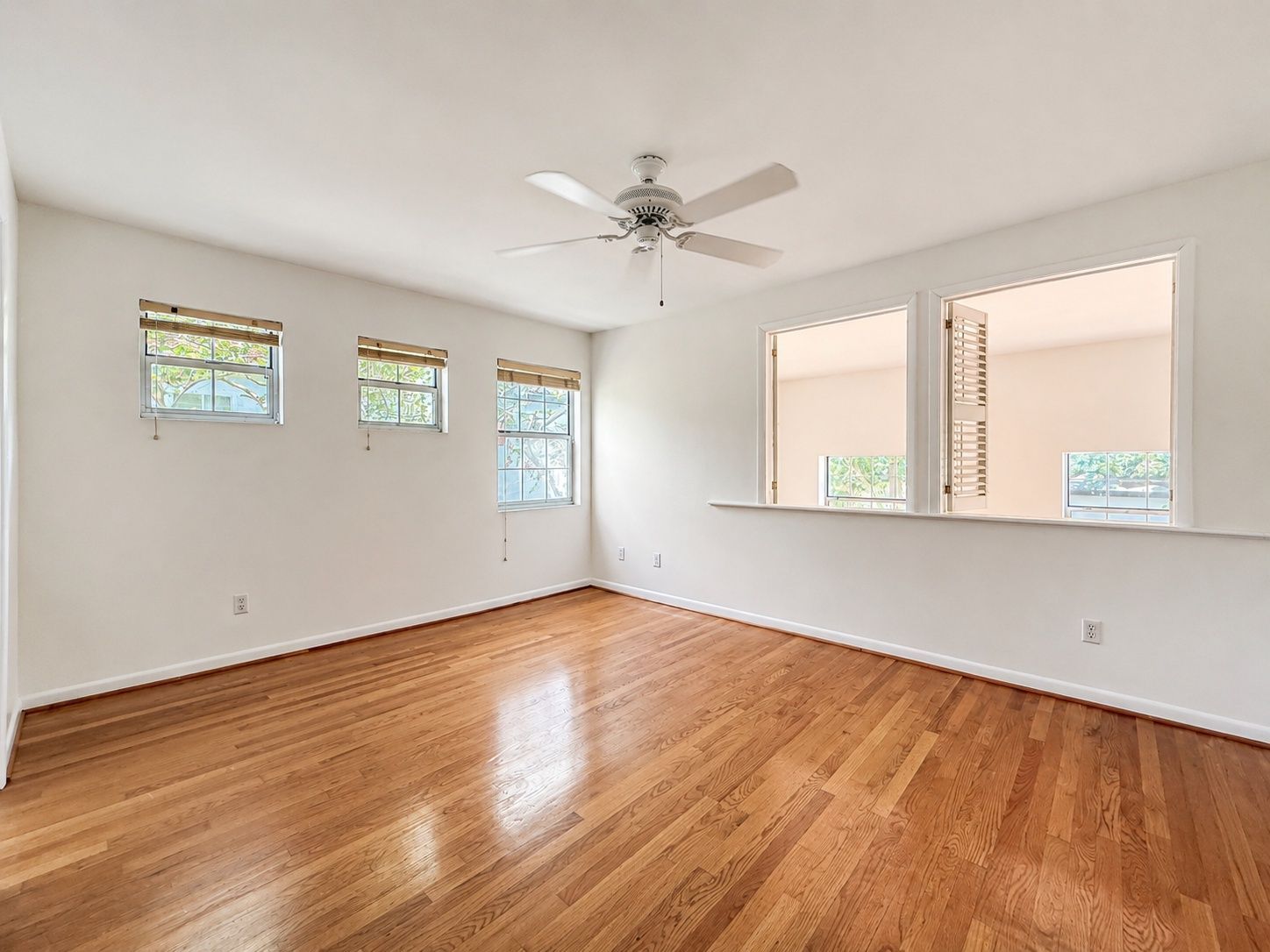 Gallery Image 13