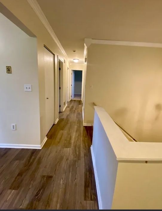 Gallery Image 15