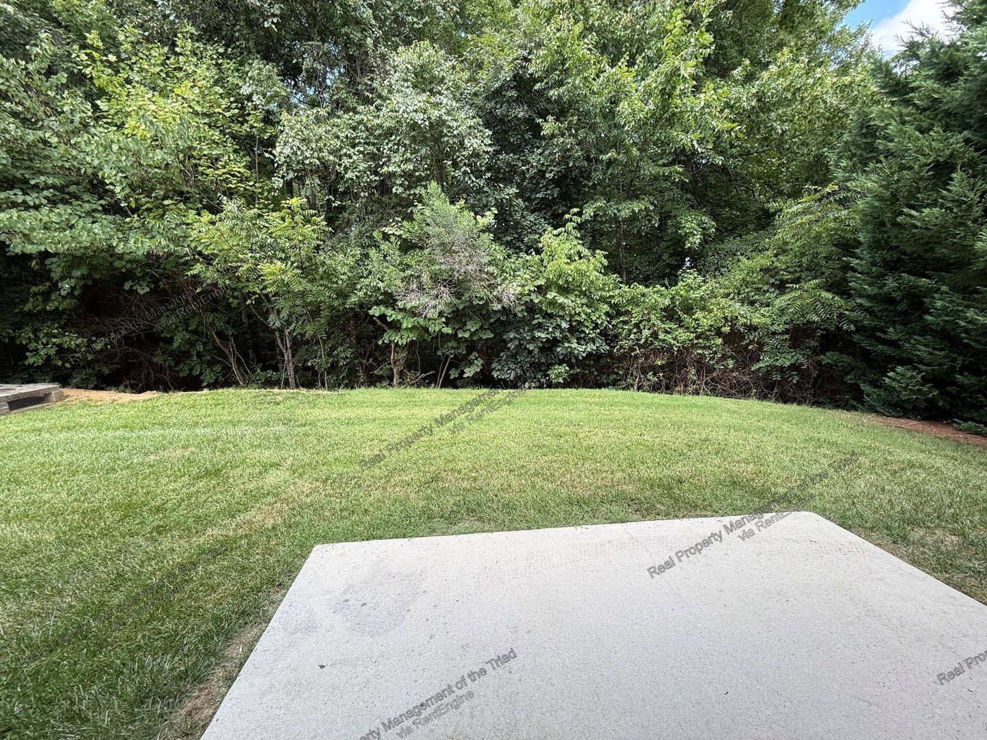 Gallery Image 16