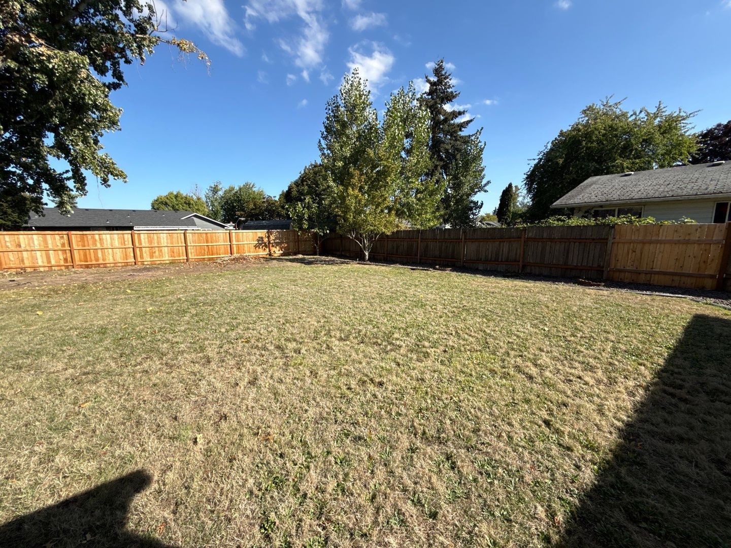 Gallery Image 34
