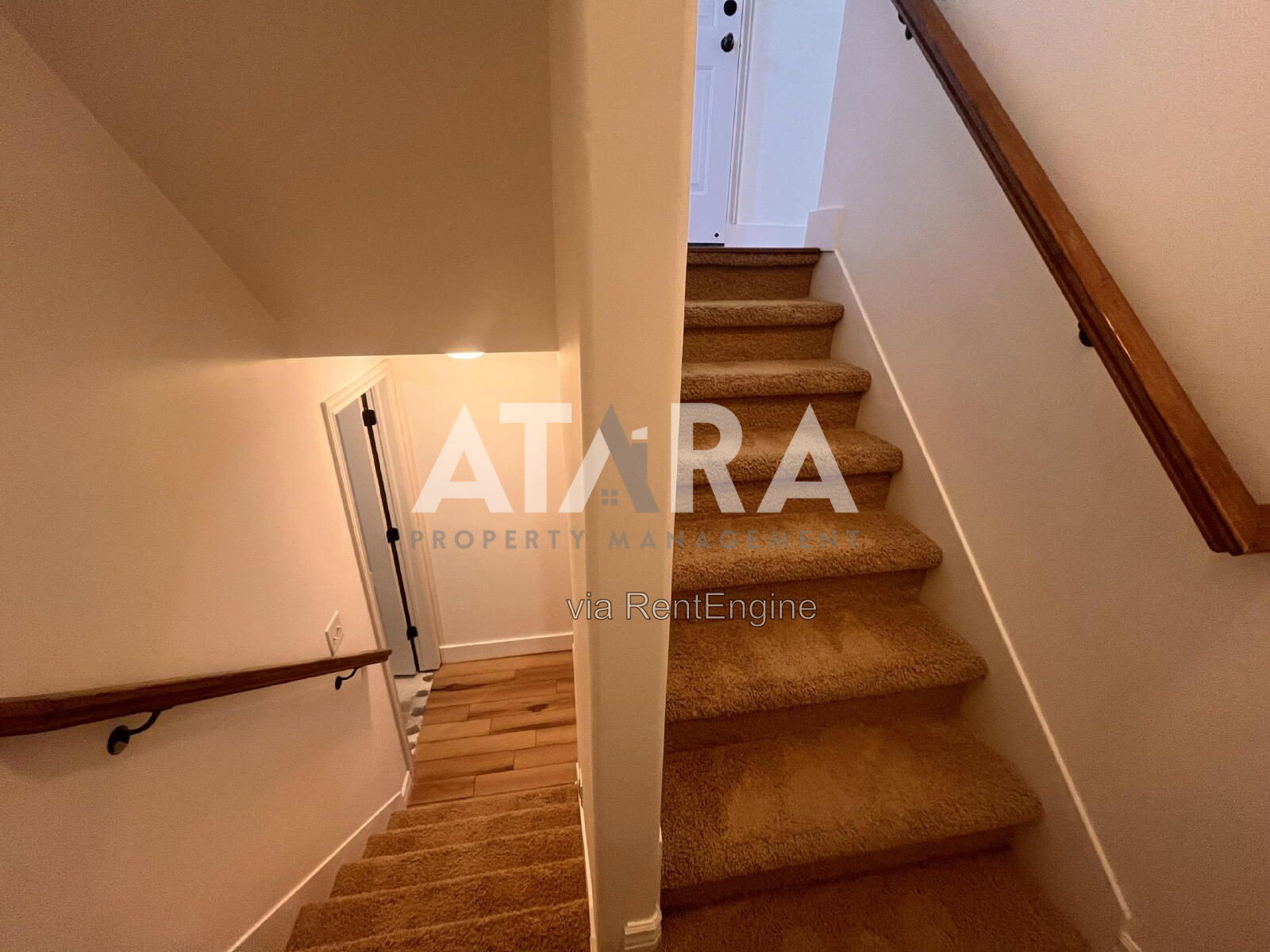 Gallery Image 33