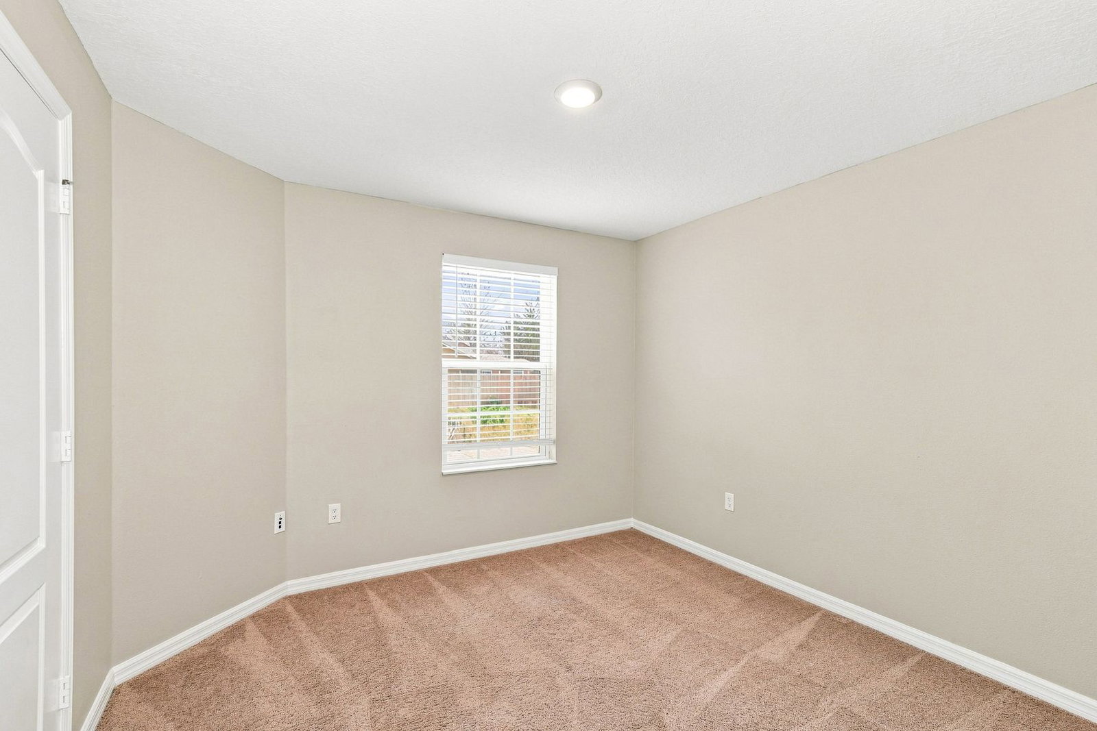 Gallery Image 19