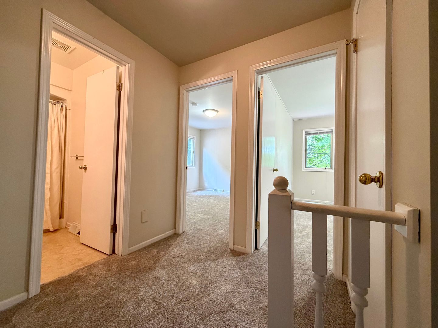 Gallery Image 12