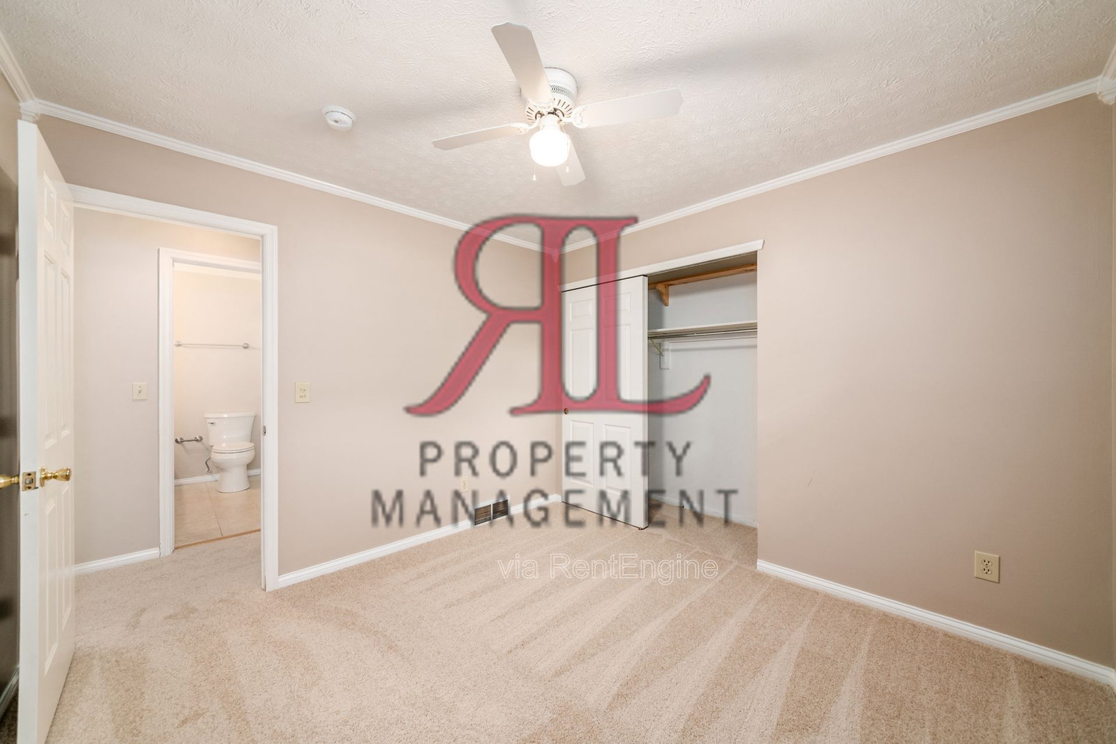 Gallery Image 18
