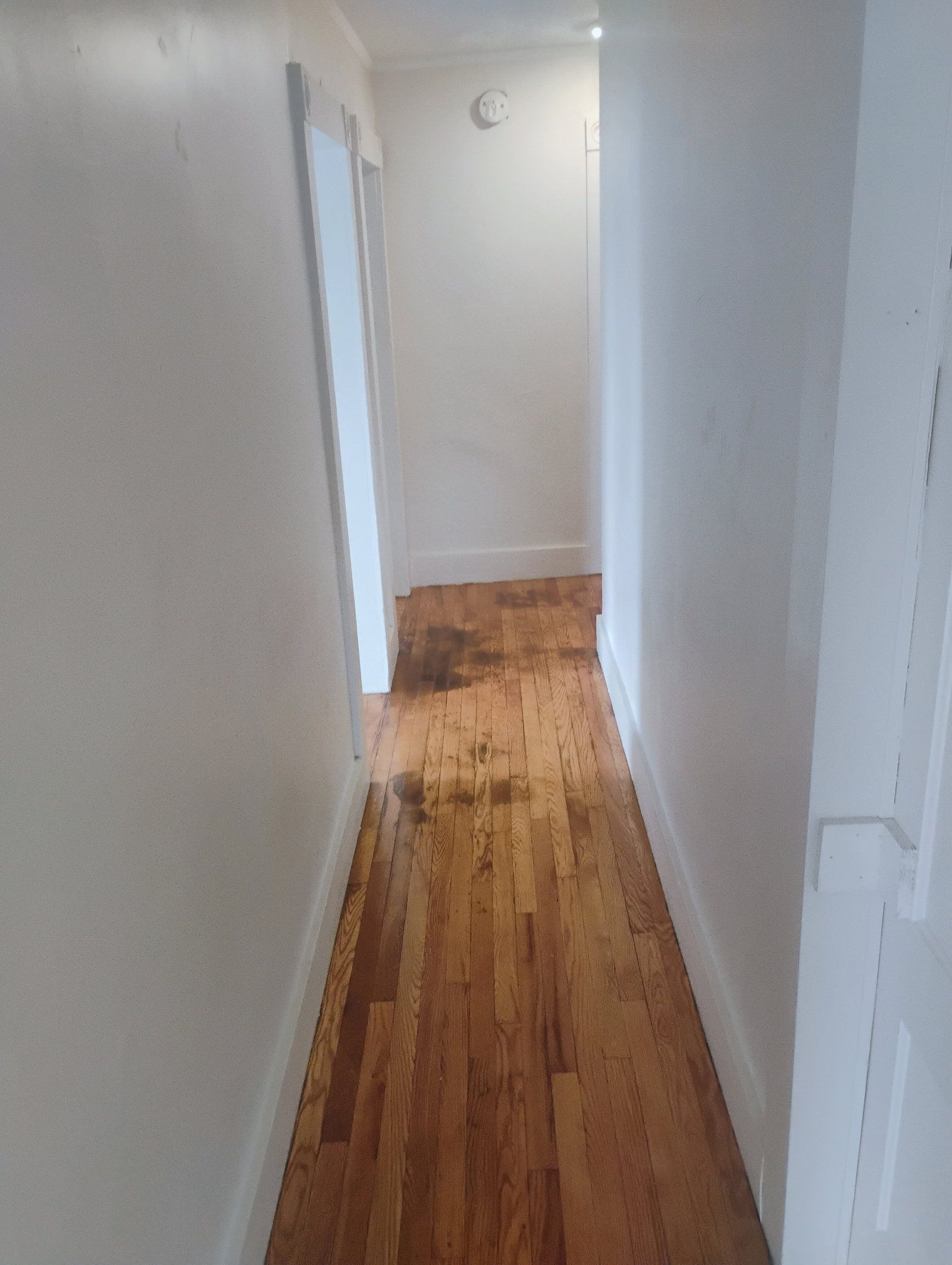 Gallery Image 14