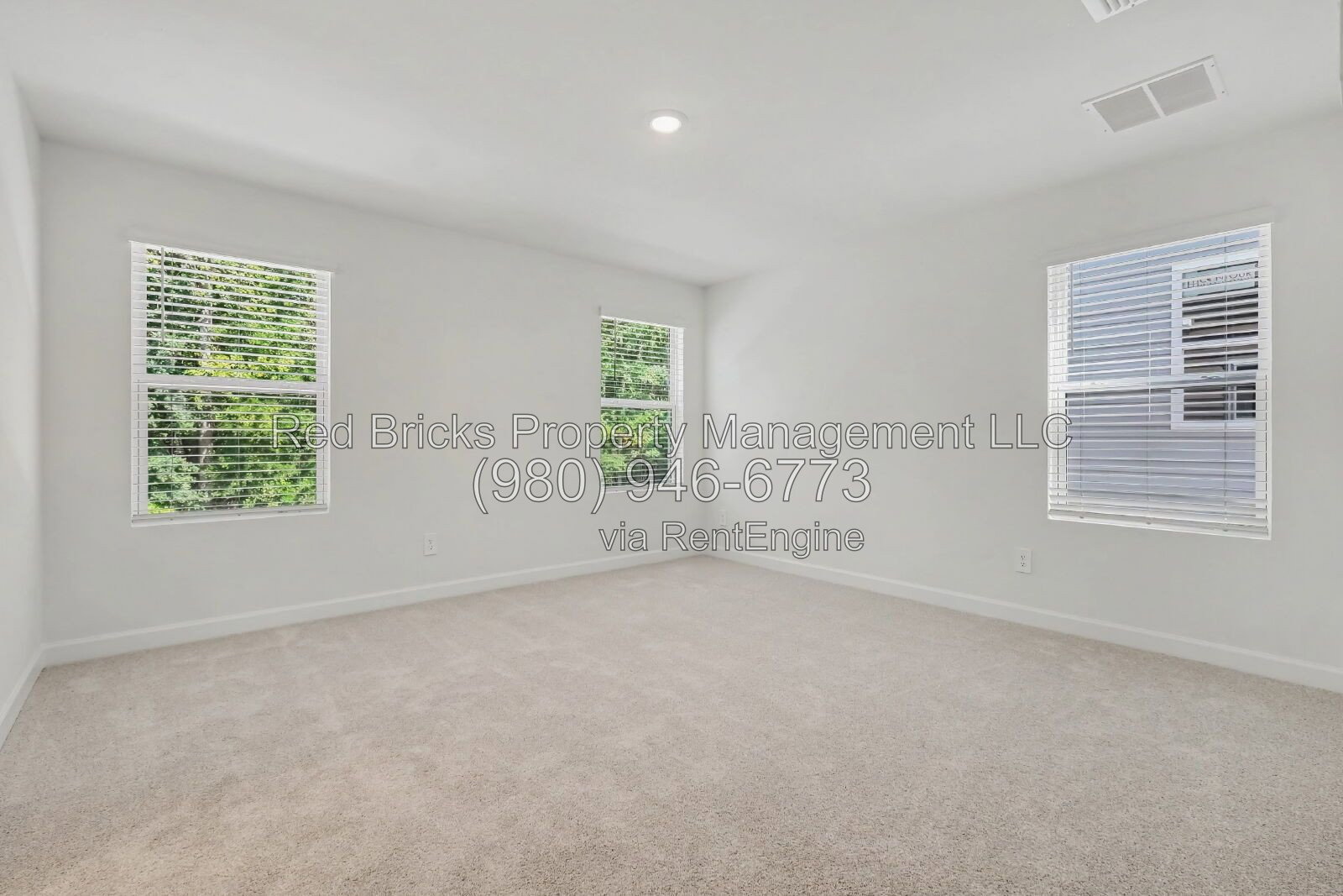 Gallery Image 19