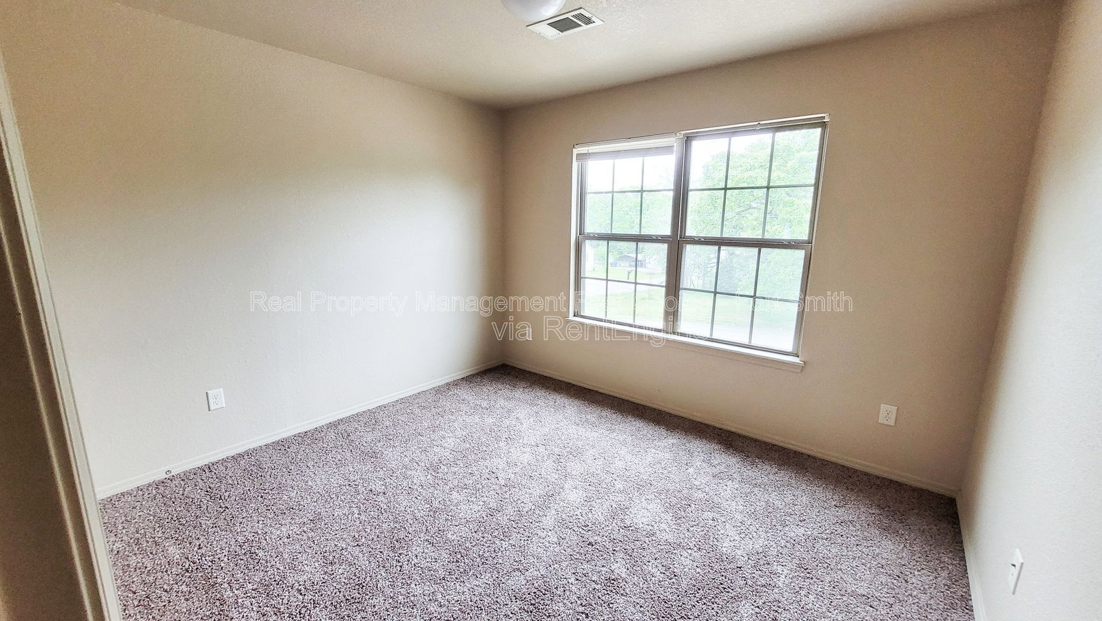 Gallery Image 19