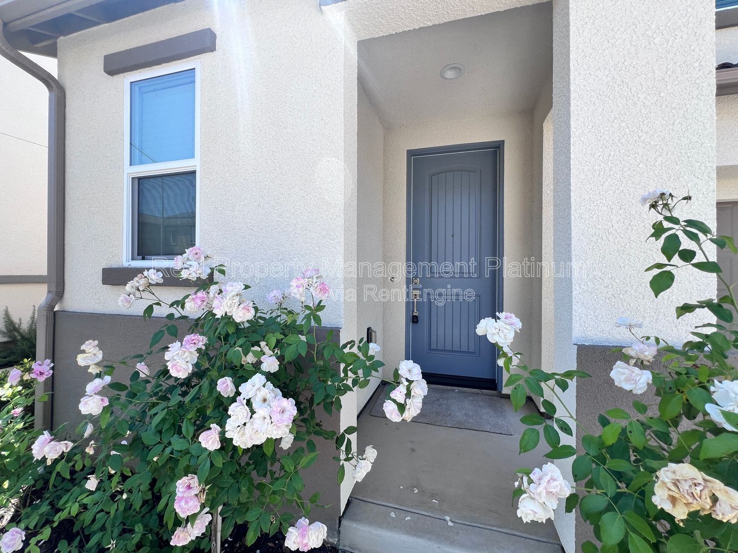 Gallery Image 14