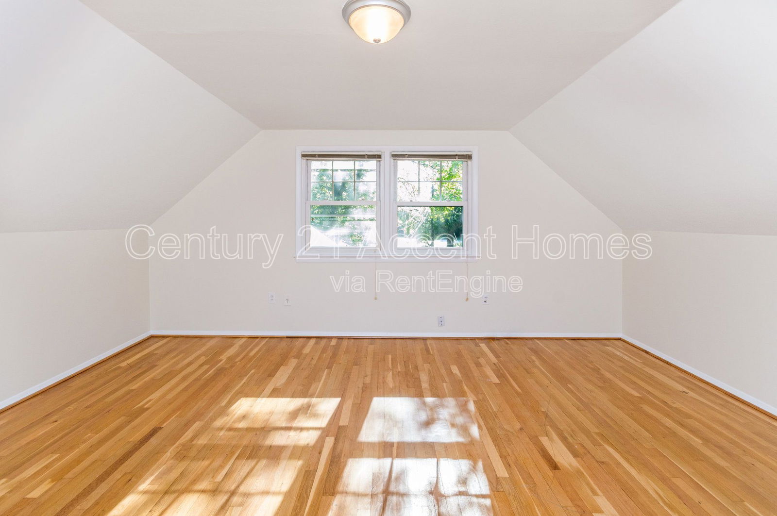 Gallery Image 21