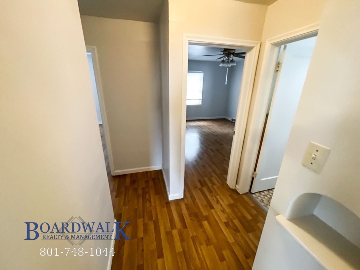 Gallery Image 14