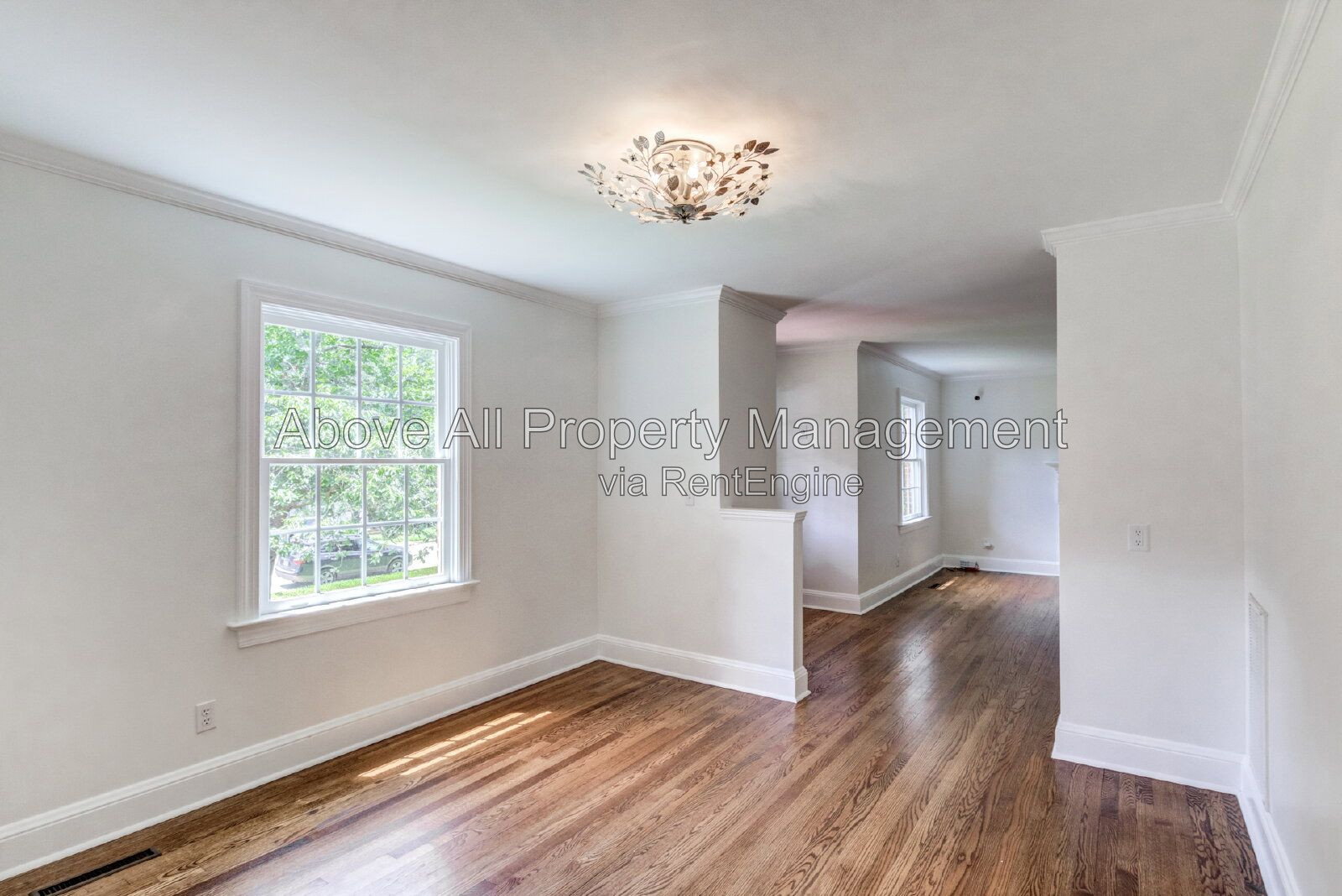 Gallery Image 36