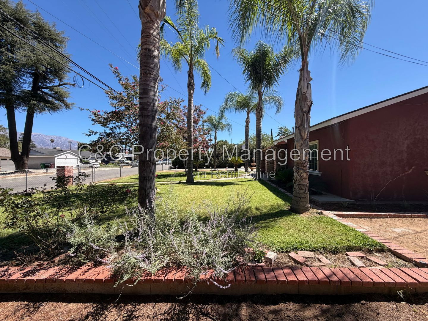 Gallery Image 17