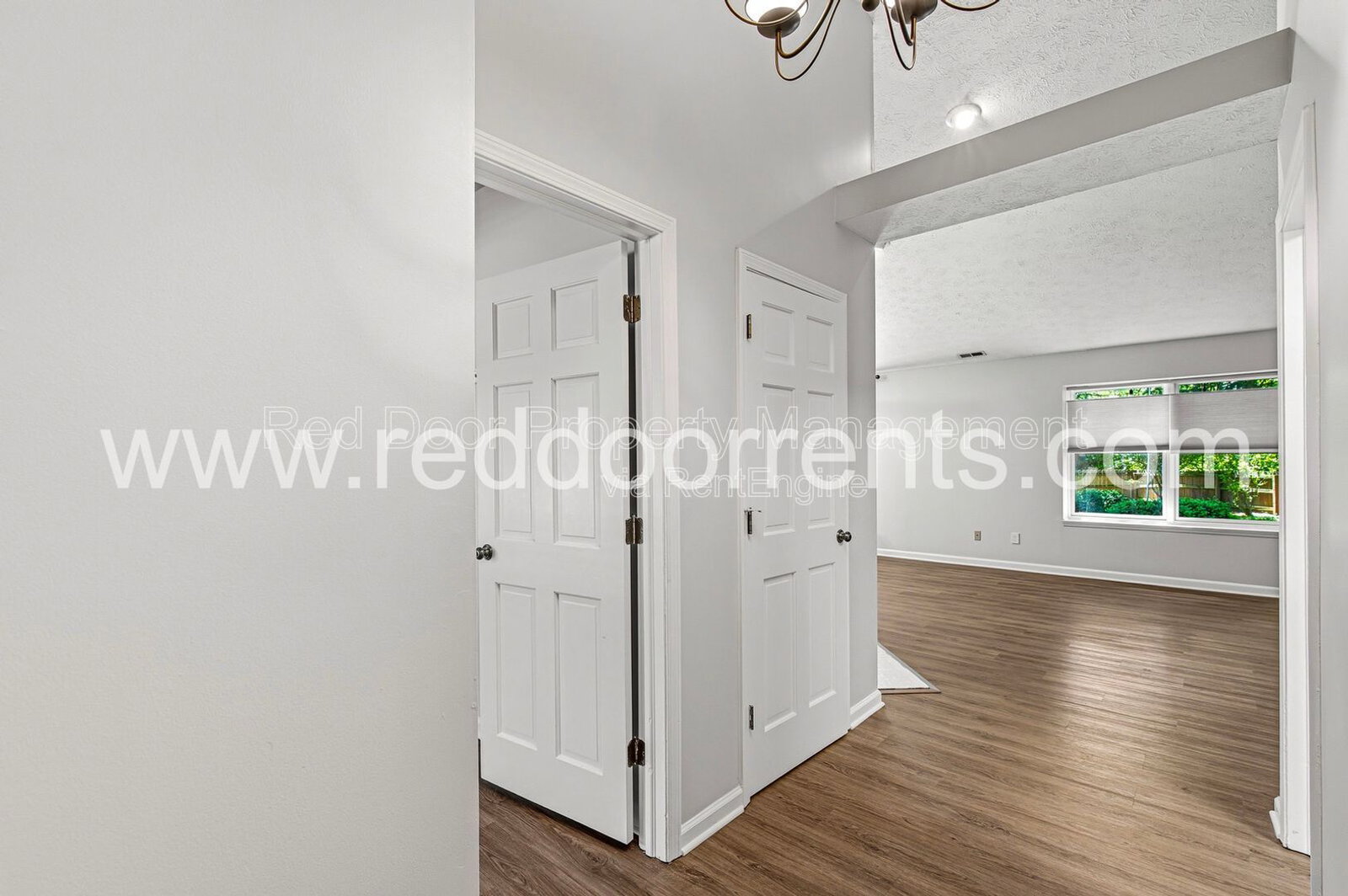 Gallery Image 19