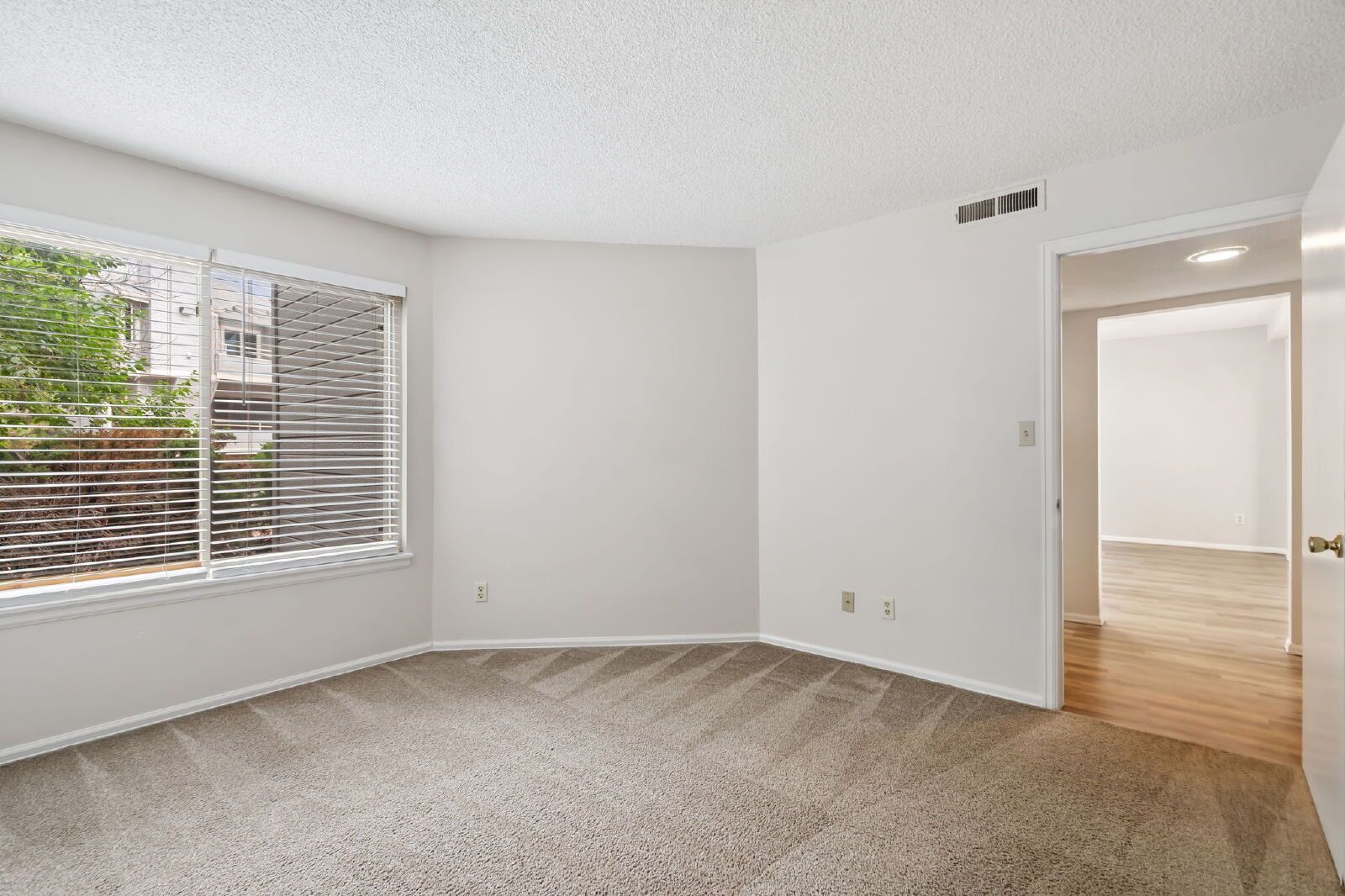 Gallery Image 20