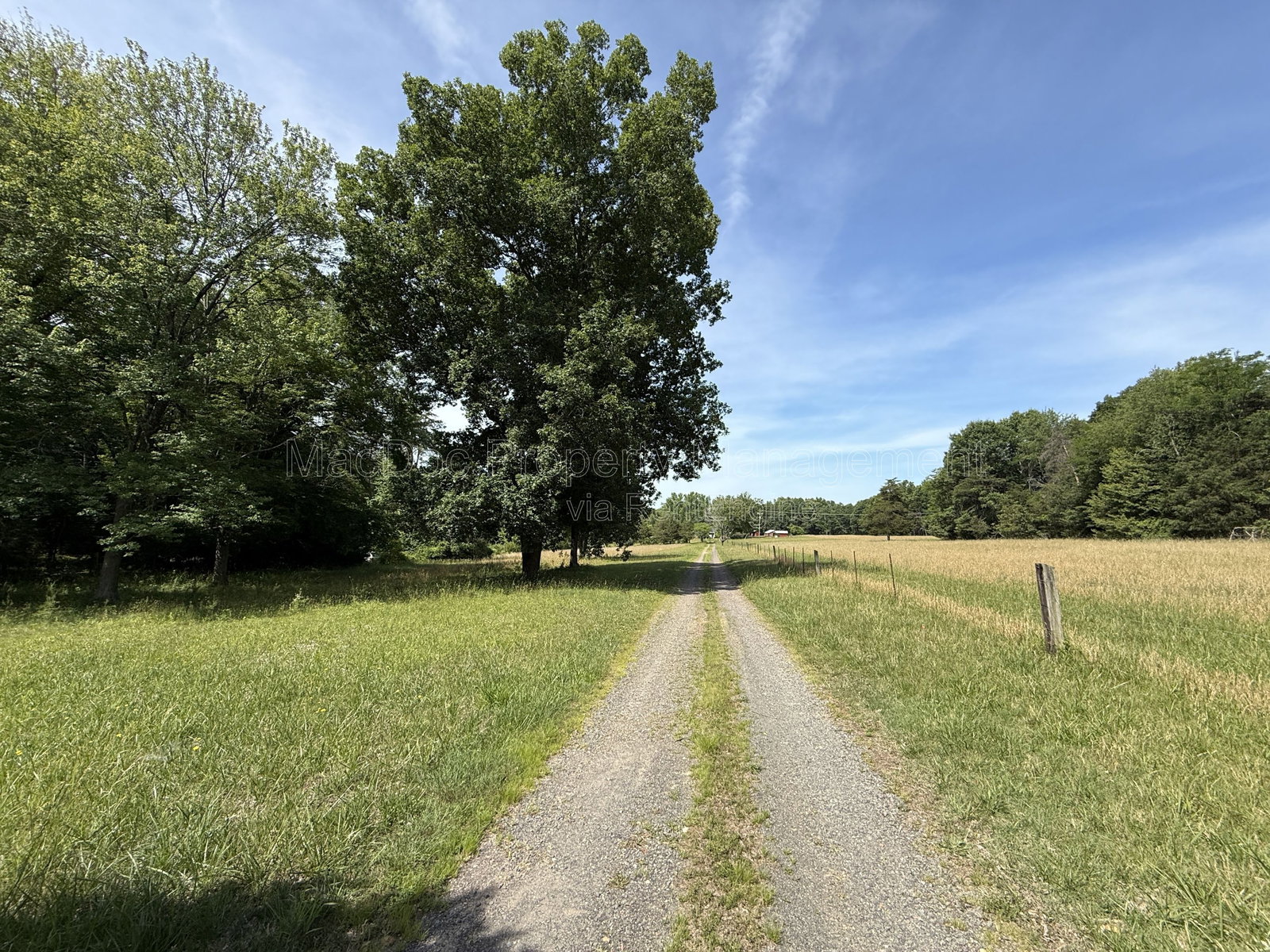 Gallery Image 33