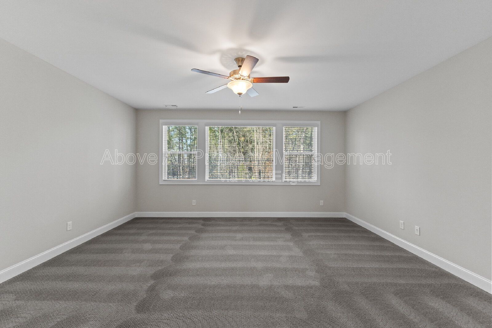 Gallery Image 42