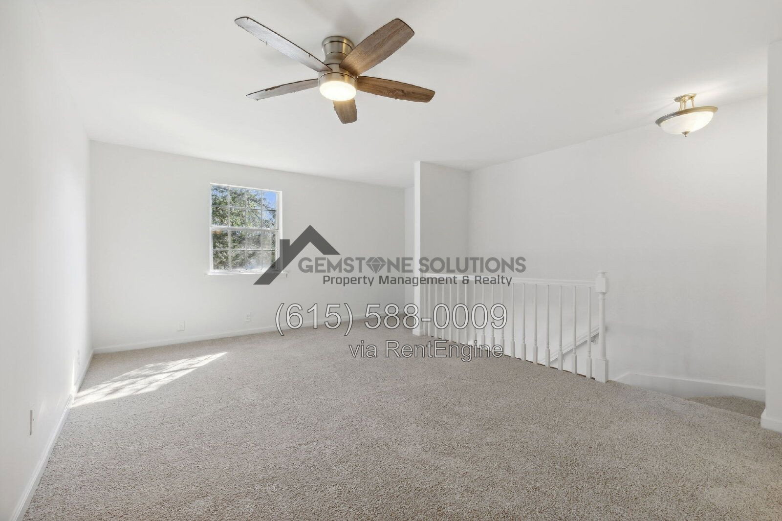 Gallery Image 16