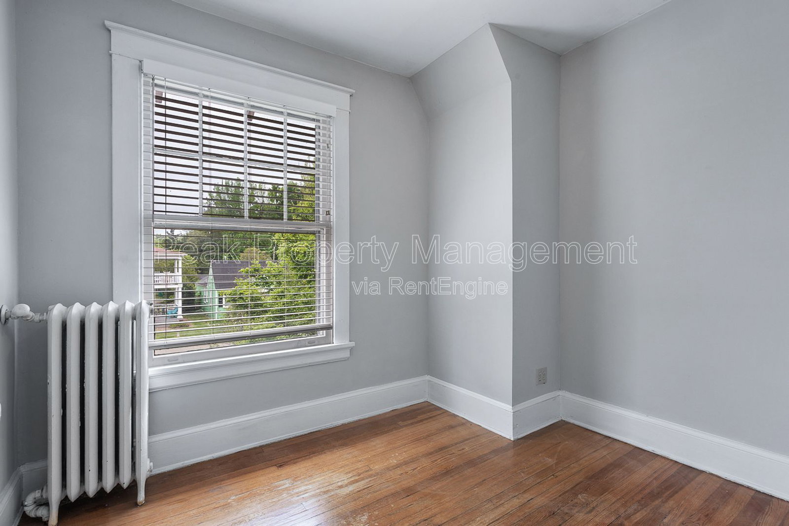 Gallery Image 19