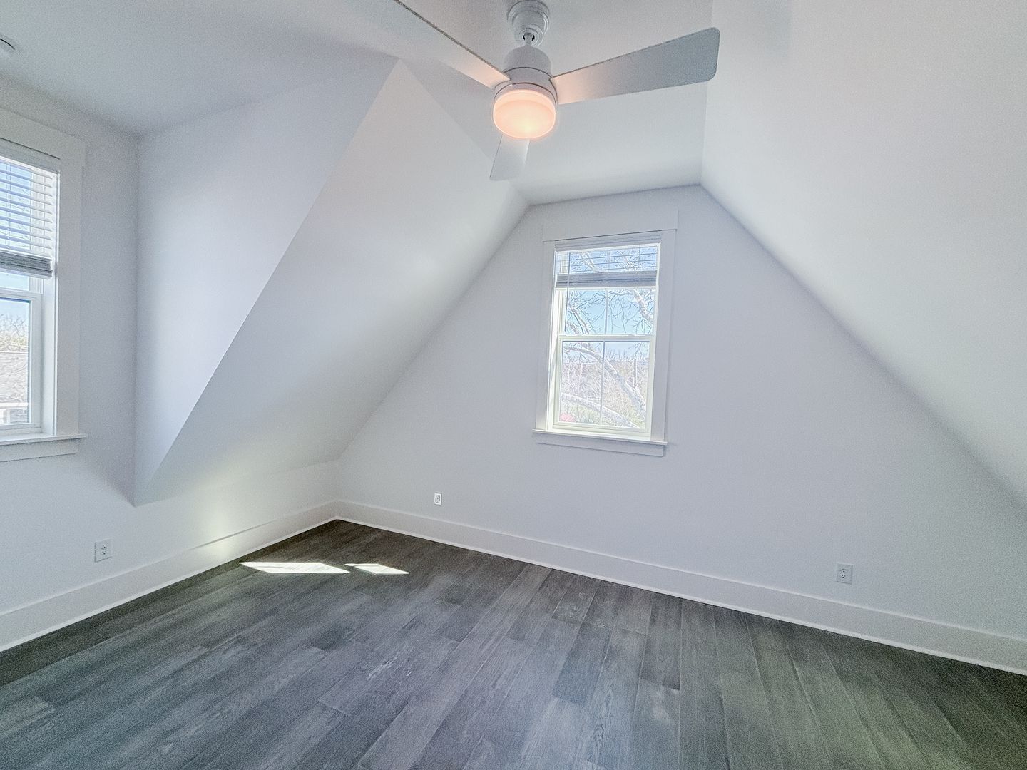 Gallery Image 16