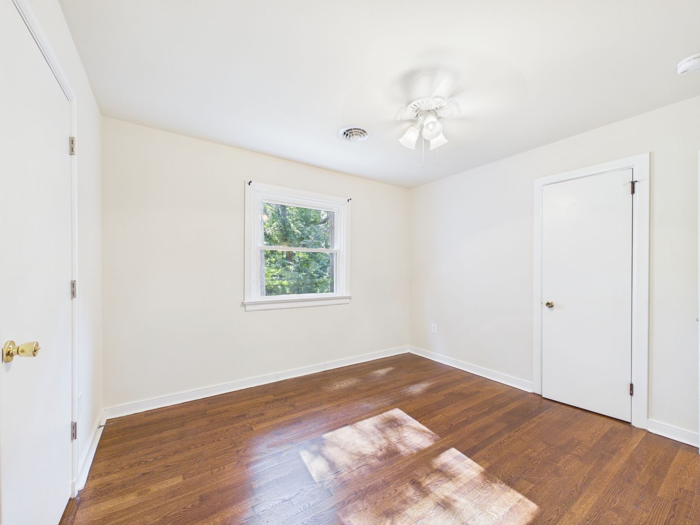 Gallery Image 19
