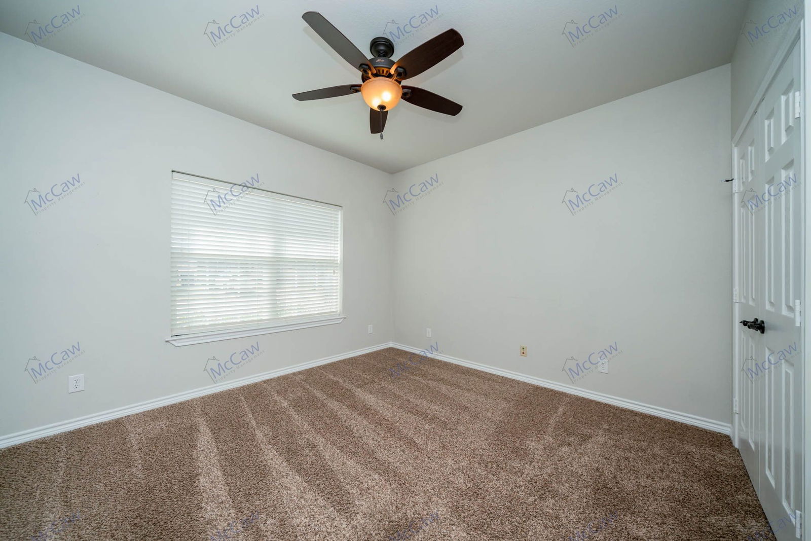 Gallery Image 19